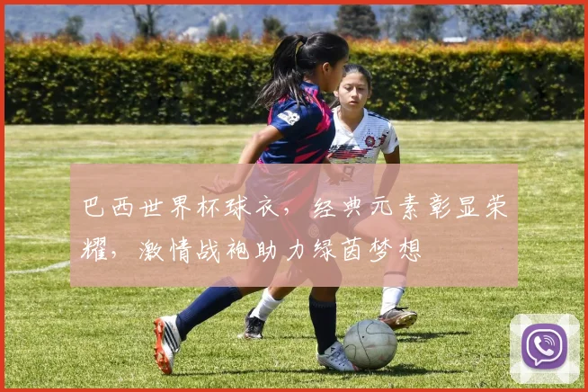 巴西世界杯球衣，经典元素彰显荣耀，激情战袍助力绿茵梦想