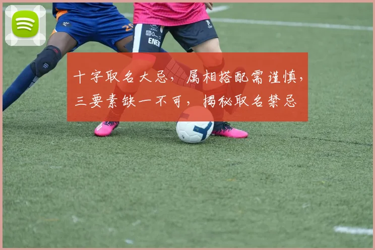 十字取名大忌，属相搭配需谨慎，三要素缺一不可，揭秘取名禁忌