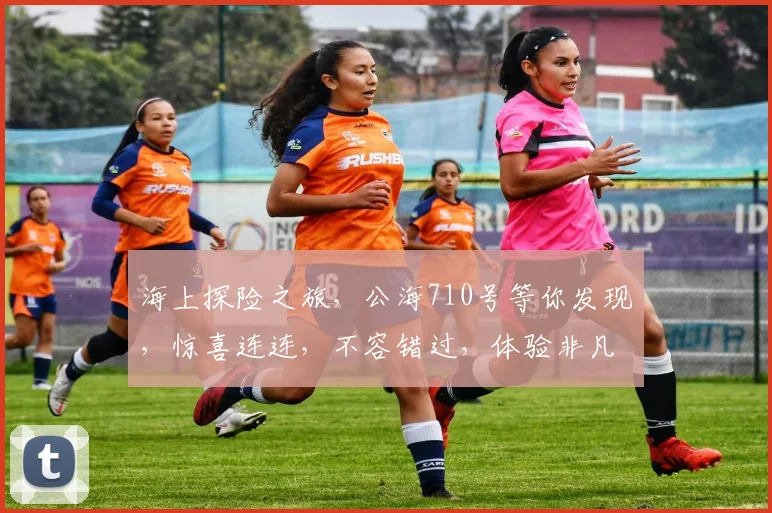 海上探险之旅，公海710号等你发现，惊喜连连，不容错过，体验非凡