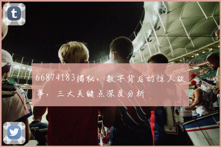 66874183揭秘，数字背后的惊人故事，三大关键点深度分析